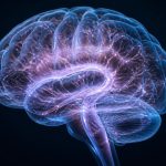 tryptophan-to-melatonin pathway genetics