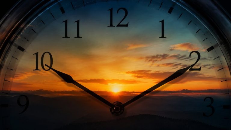 what is chronotype