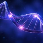 most notable sleep genes