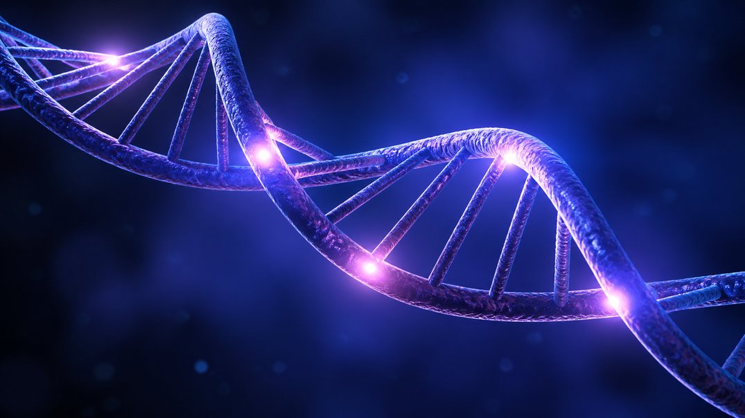 most notable sleep genes